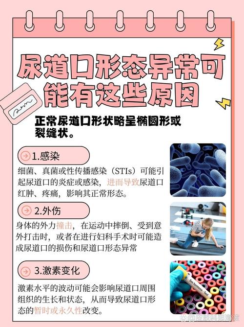 第七影院的相关介绍