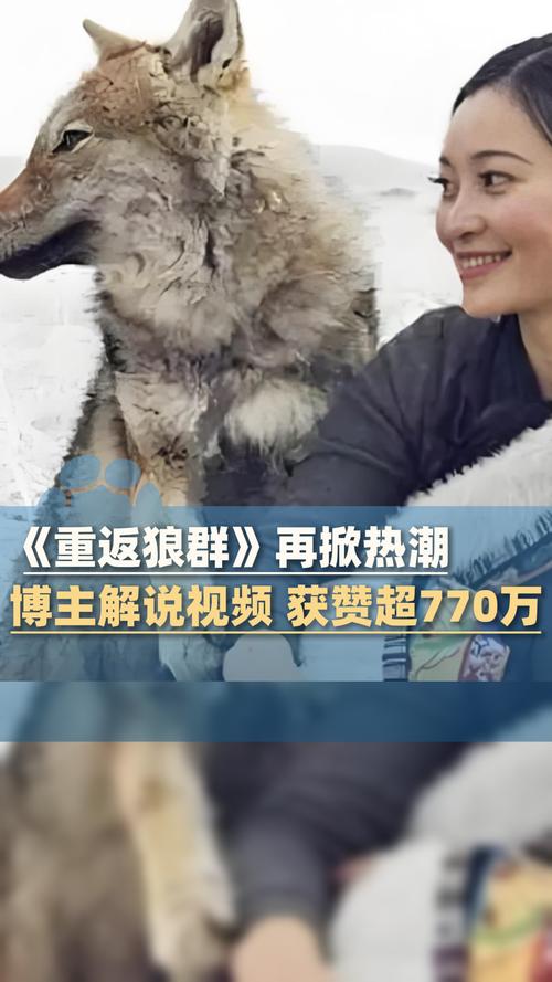 月光影院免费视频在线观看 | 最新热门电影电视剧免费追剧平台