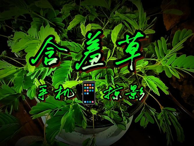 小草影院在线观看视频播放 - 最新热门影视剧免费高清在线追剧平台