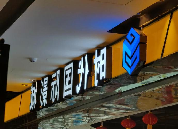 国内精品久久久久久不卡影院的相关介绍
