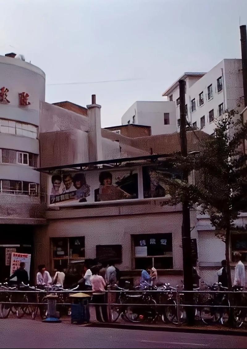 狼群影院中文字幕在线观看 - 最新电影高清中字资源 免费追剧热门大片