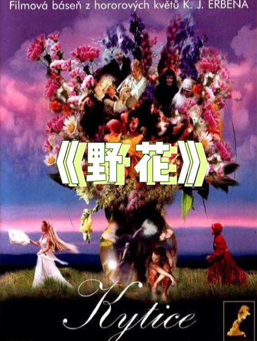 天山电影院 | 最新排片表、优惠购票攻略及周边交通指南
