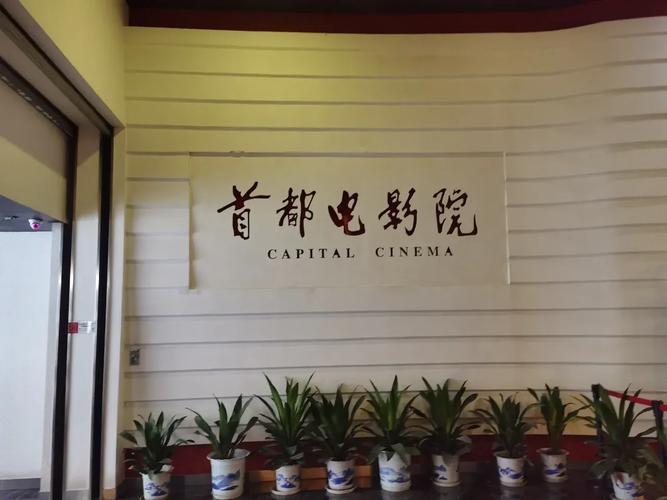 好男人在线影院免费观看全集 - 最新热播剧集与高分电影在线推荐