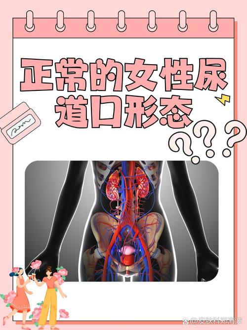 激情久久精品的相关介绍