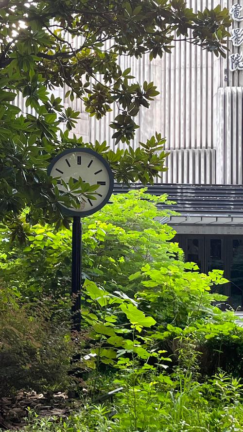 成龙电影院团购优惠 | 电影票团购低价秒杀 | 周末观影团购推荐